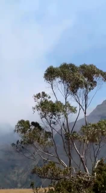 Las llamas comprometen frailejones, vegetación nativa y fauna.