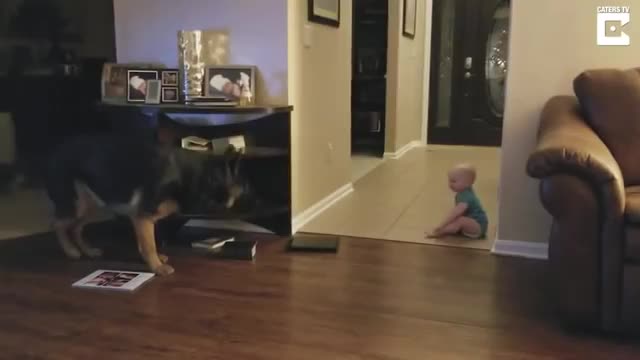 Baby And Dog Chasing Each Other. 😂😂