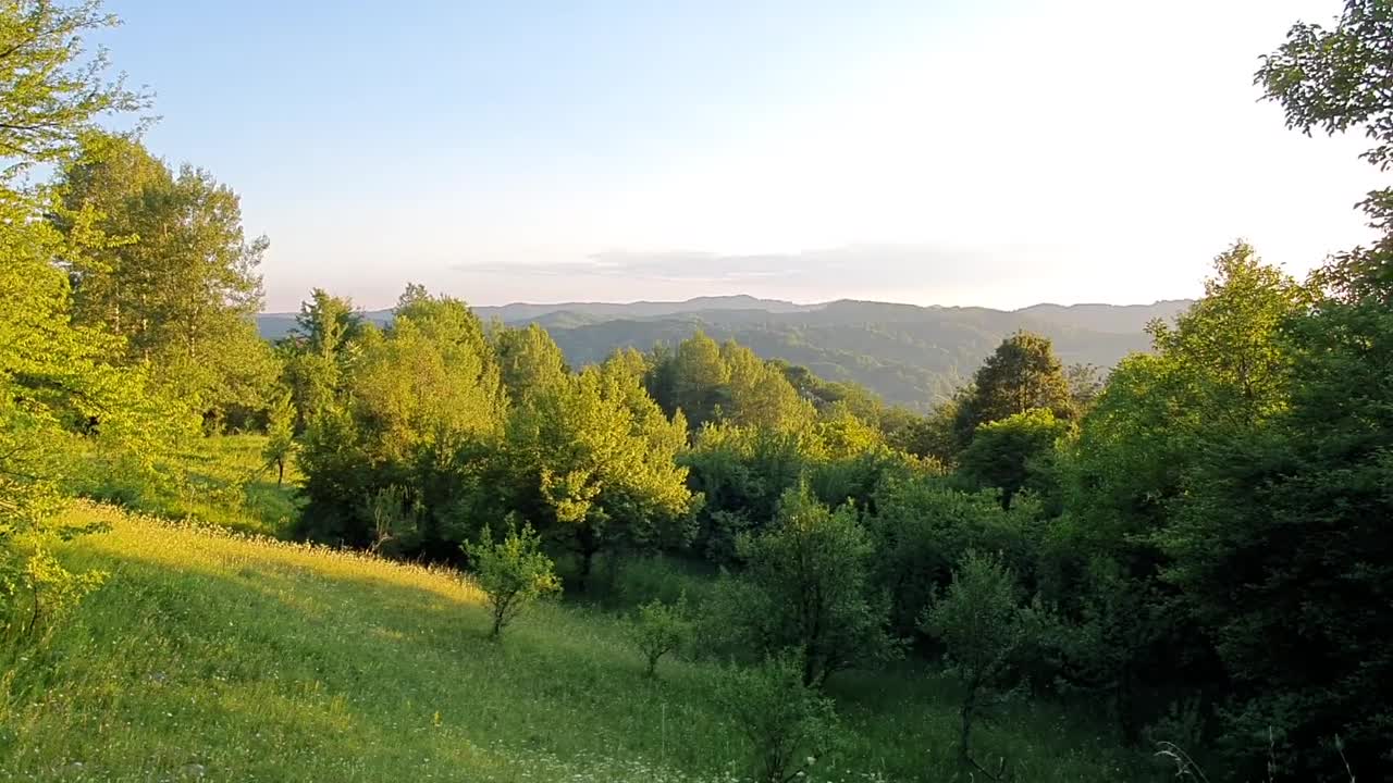 Beautiful landscape and birdsong