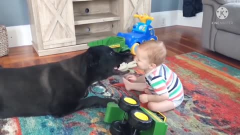 Happy good baby and dog new video