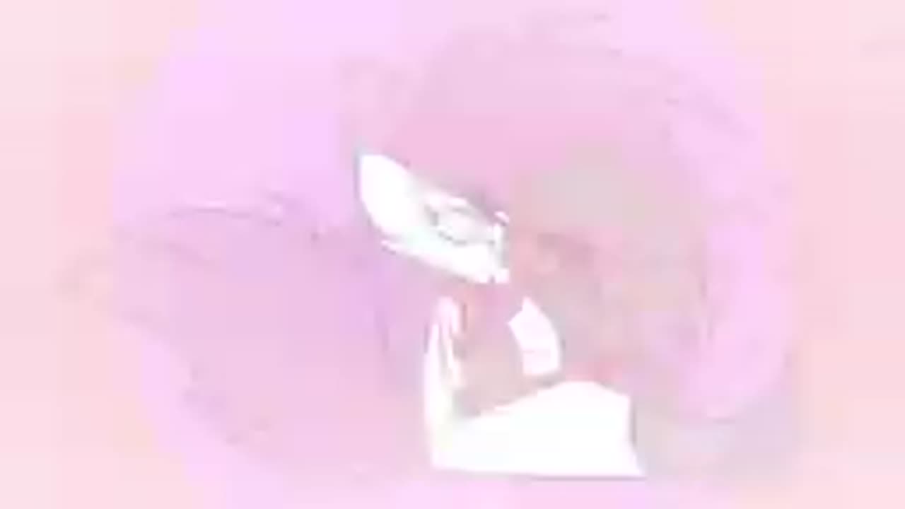 Mysterex Daddy