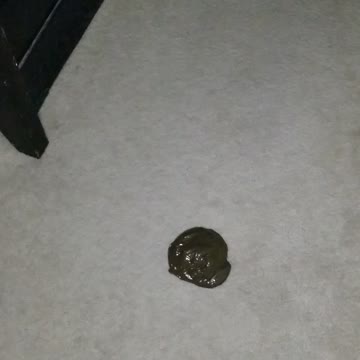 Fake Dog Poop