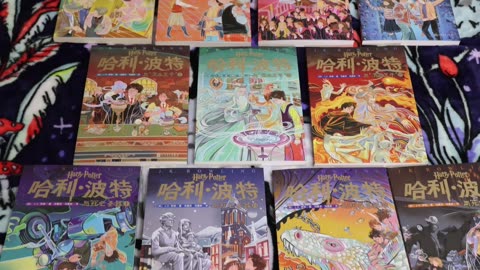 Quick Look At ALL The Harry Potter Chinese Books! #wizardingworld #harrypotter #booktok