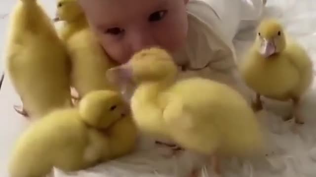 A child is a chick among real chicks