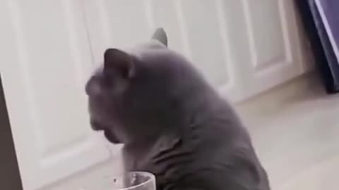 Watch it and laugh again 4