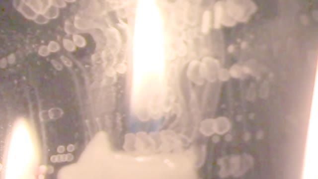 Walk Through the Fire