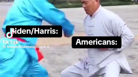 Kung Fu Anyone ?