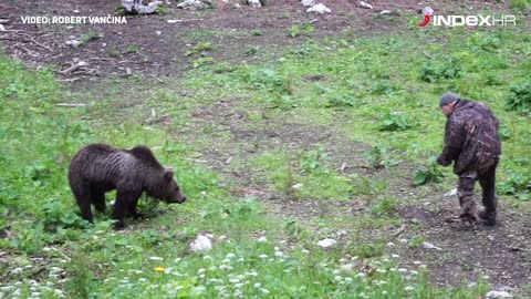 Nevjerojatno fotografiranje medvjeda u Gorskom Kotaru