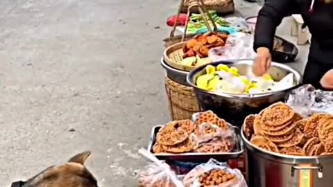 SMART DOG