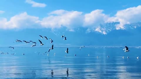 Blue sky and the sea