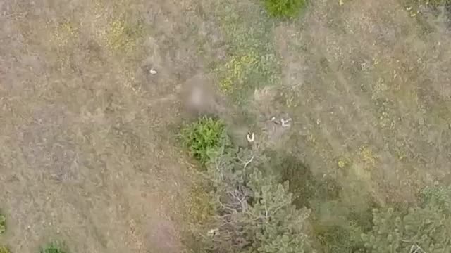 Russian special forces engaging a Ukrainian reconnaissance unit.