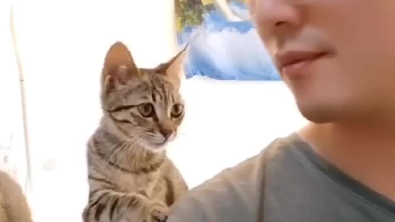 Funny animals 2024π - Funniest Cats and Dogs Videoππ #shorts part 79
