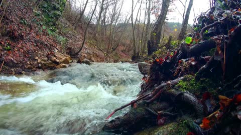 Relaxing sound river Why Nature Sounds Are Great for Relaxation
