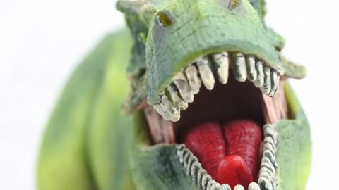 Fun Facts of T-Rex