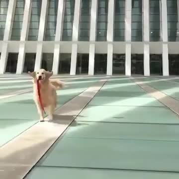 When you want to get ready for your date