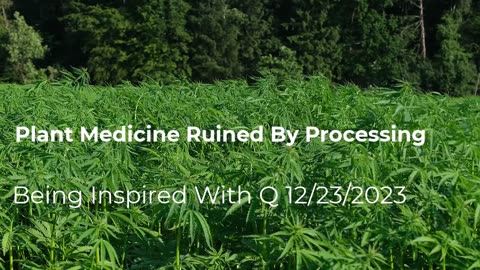 Plant Medicine Ruined By Manufacturing 12/23/2023