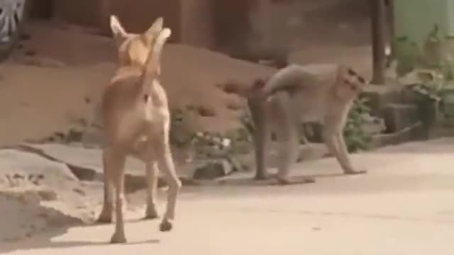 Seems like, they have met before