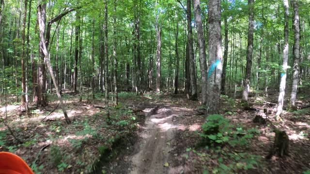 Tomahawk Loop B single track