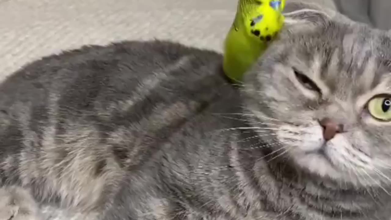 Caption this