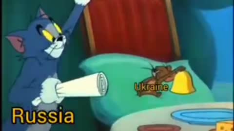 Rusko - Ukrajina - NATO - kocour - myš - pes