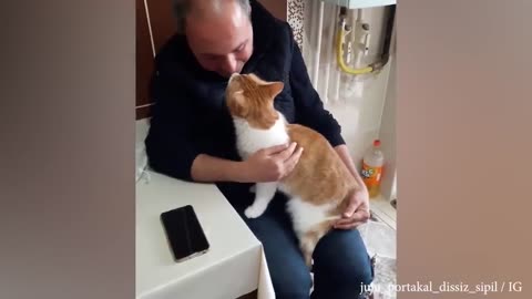 My soul is purified by the love of my cat - Cute moments cat and human