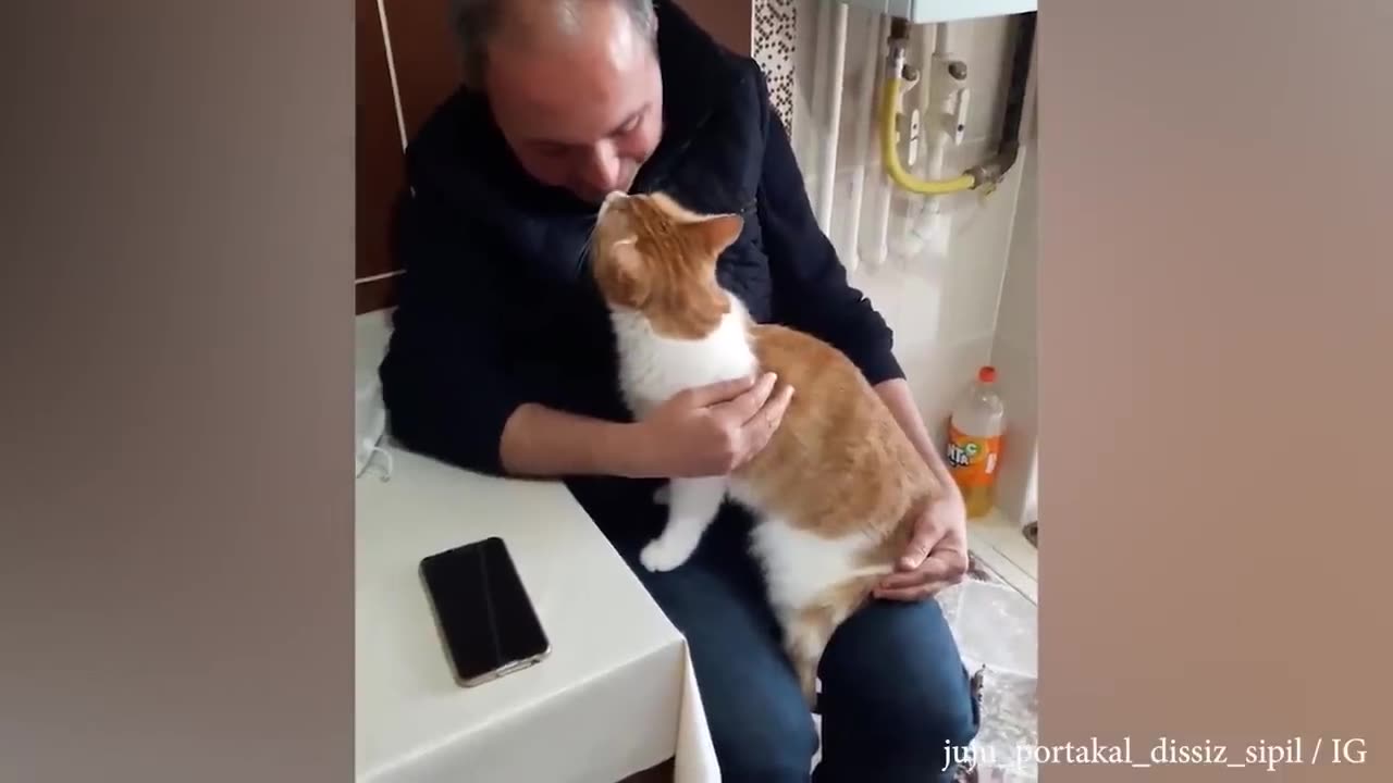 My soul is purified by the love of my cat - Cute moments cat and human