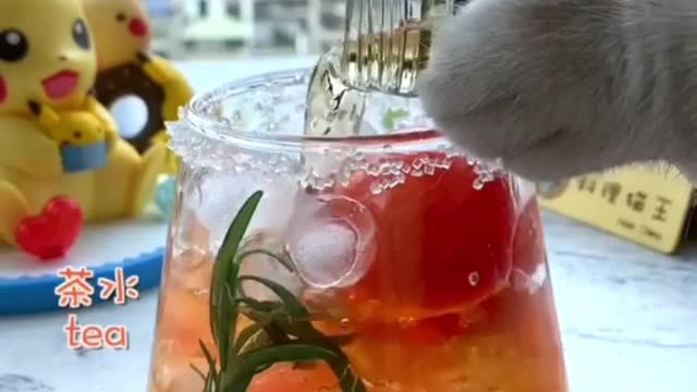 Cute cat make drinking water fuuny cats viral cats