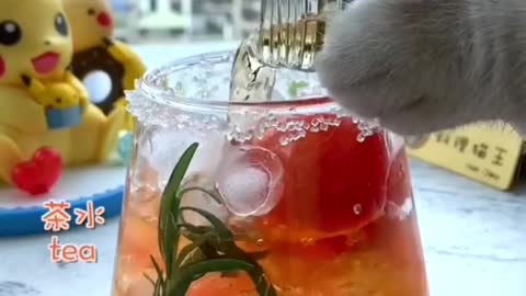 Cute cat make drinking water fuuny cats viral cats