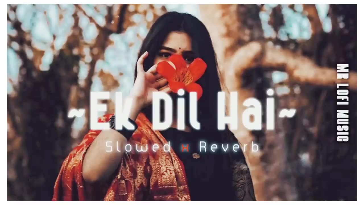 Ek dil hai _song (slowed and reverb)