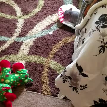 Communism is still actively behind Racial Tensions in 2020