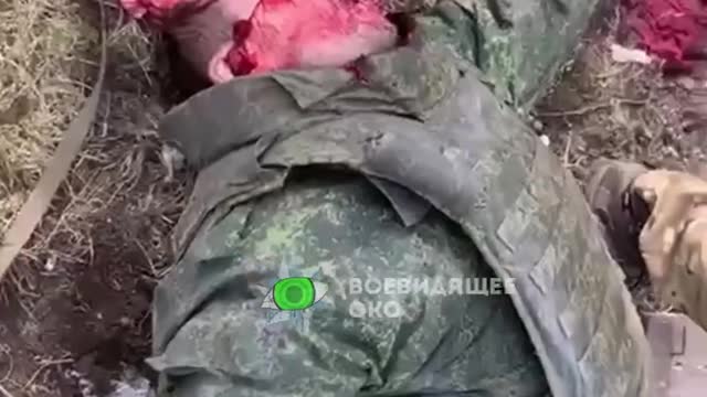 Exposed brain