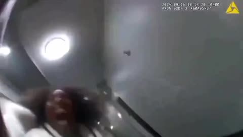 Essas são as pessoas que reclamam do "preconceito racial" da polícia, o que eles têm em suas cabeças?