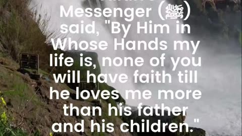 Sahih bukhari 14