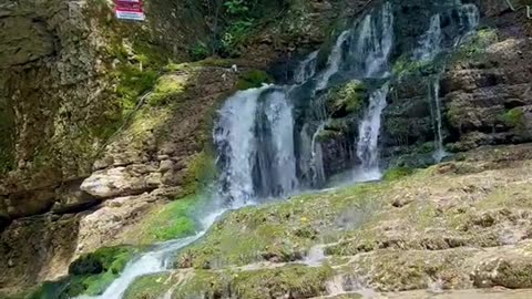 georgianature🥰❤️