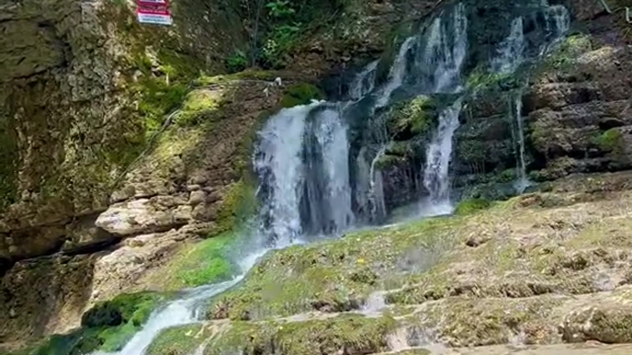 georgianature🥰❤️