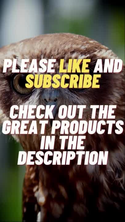 🐎🐦 Funny Animals - Funny Horses - Hilarious Nature🐑🦆🐴