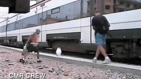 Quality Control 1 (2003)