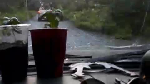 SUMMER SOLSTICE. HEADING DOWN TO THE WATER