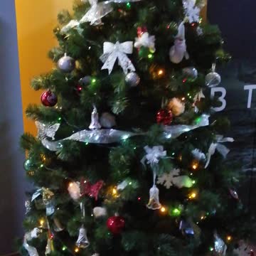 Beautiful festive Christmas tree in the cinema.