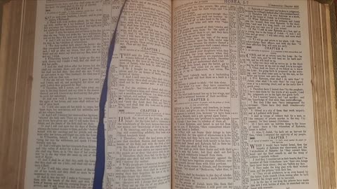 Hosea 5