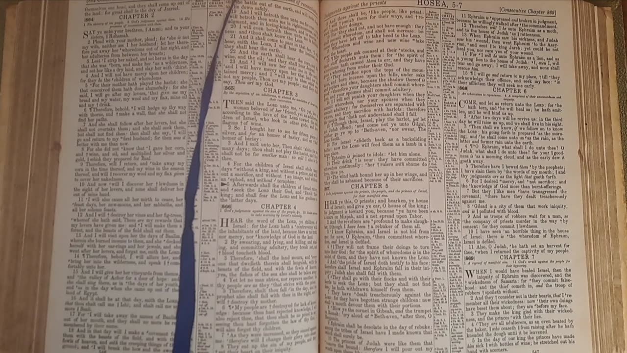 Hosea 5