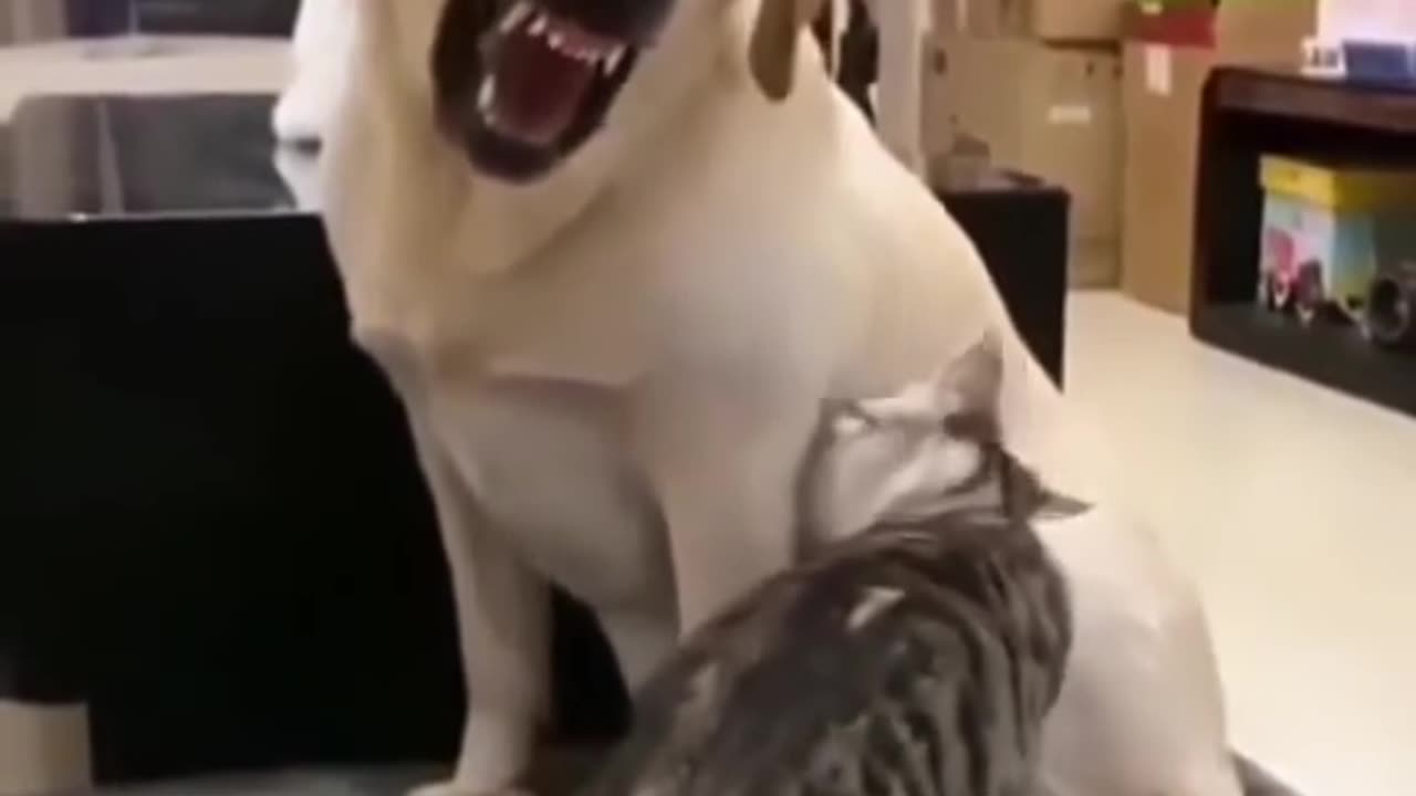 funny