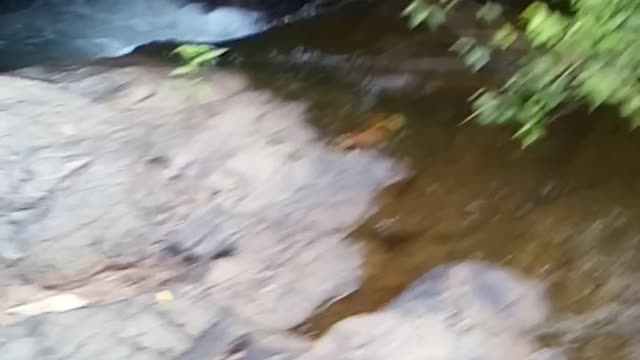 Land in Belize