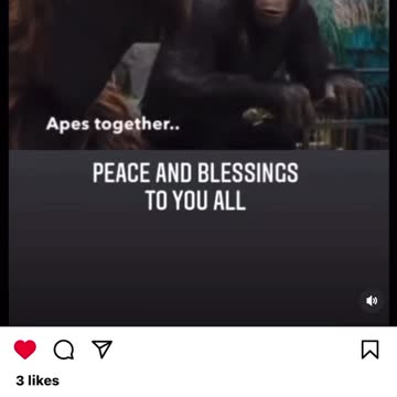 Good morning world, together strong frens🐸⚔️