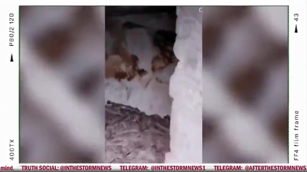WIADOMOŚCI W ŚRODKU BURZY I.T.S.N I - [ONI] EDYCJA LIED TUNEL PL