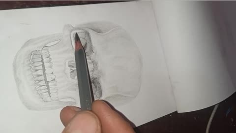 Skull drawing