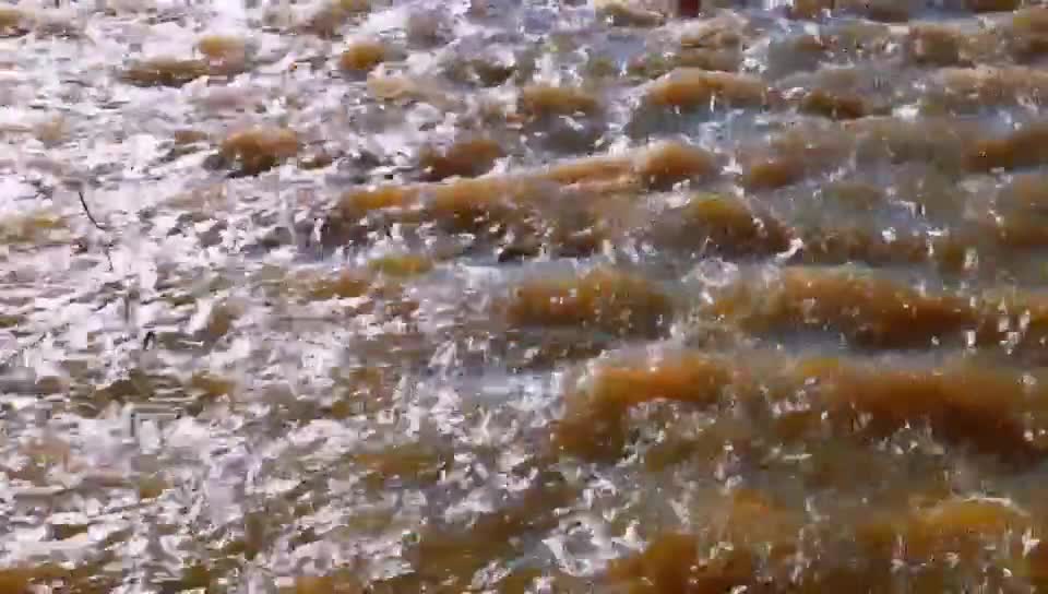 There are streams listening to the original sounds of nature