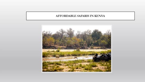 How Carries Out A Safari Job?