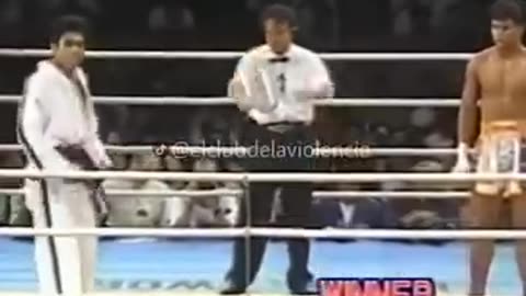 Taekwondo Vs. Muay Thai