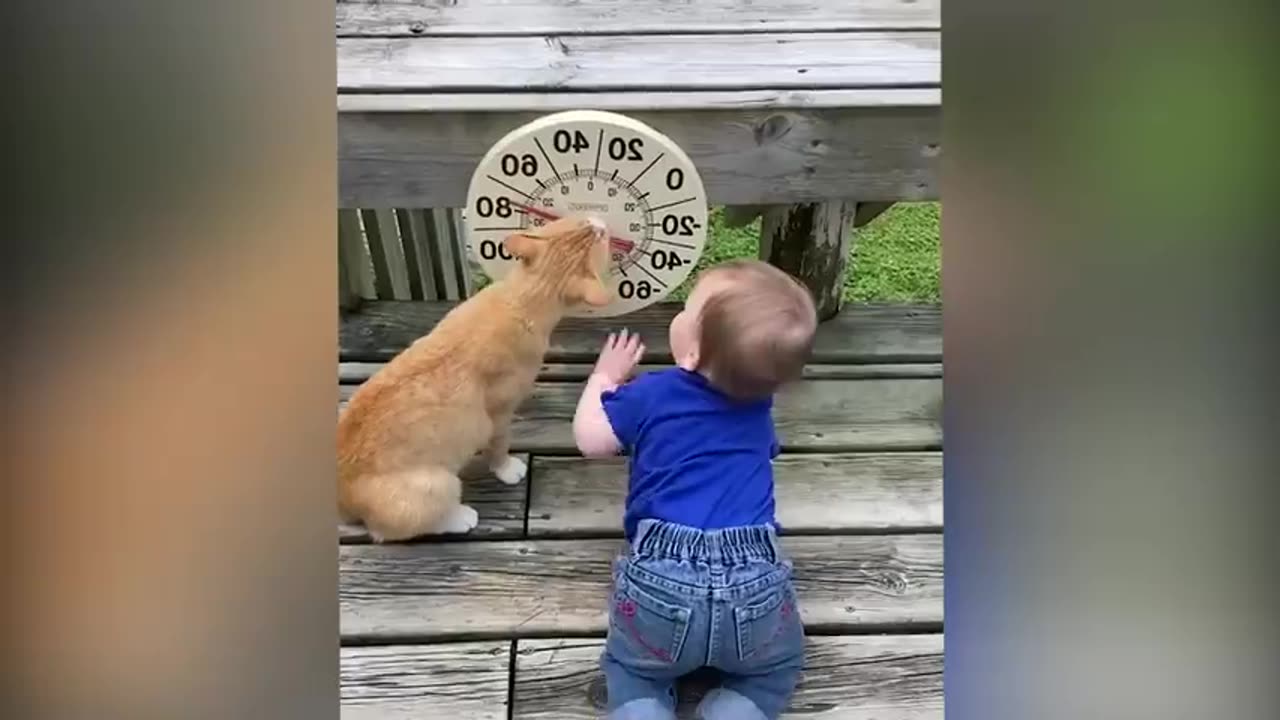 Cutest Babies Play With Dogs And Cats Compilation -- Cool Peachy #cat #cute #kitten #dog